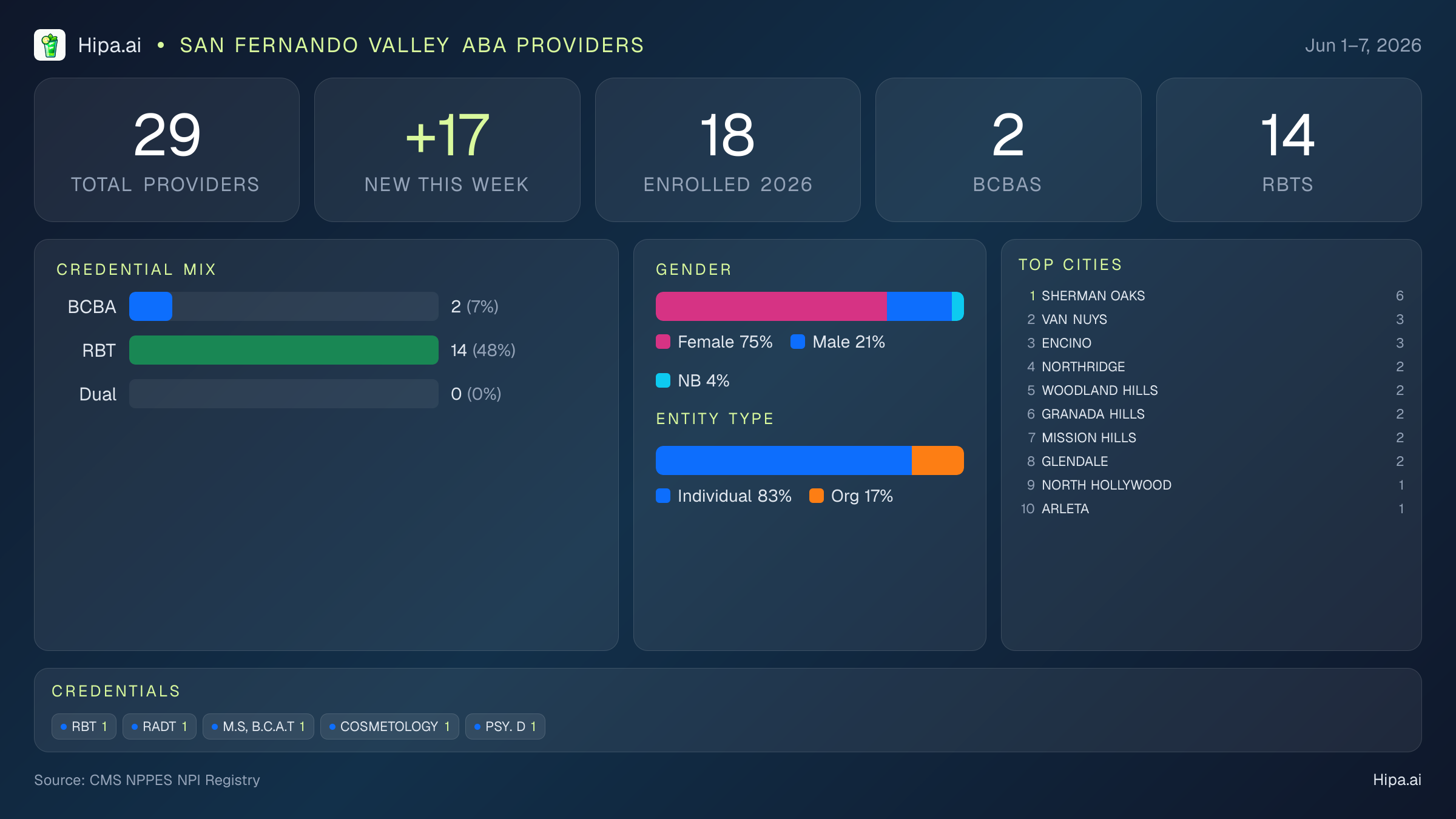 San Fernando Valley Behavioral Health Workforce - 2026-W23 | 29 Providers — infographic showing key NPI registry statistics for behavioral health providers