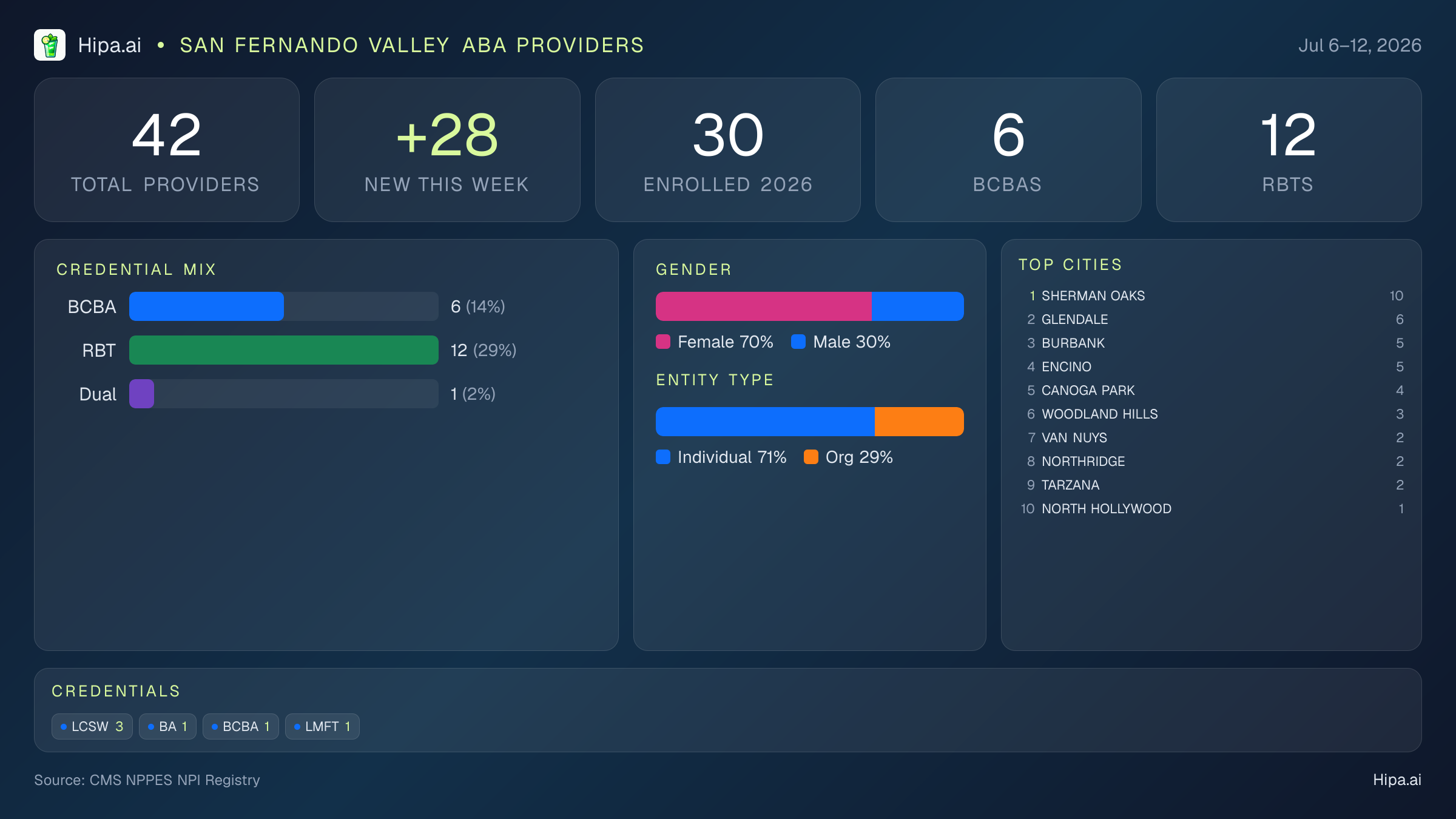 San Fernando Valley Behavioral Health Workforce - 2026-W28 | 42 Providers — infographic showing key NPI registry statistics for behavioral health providers