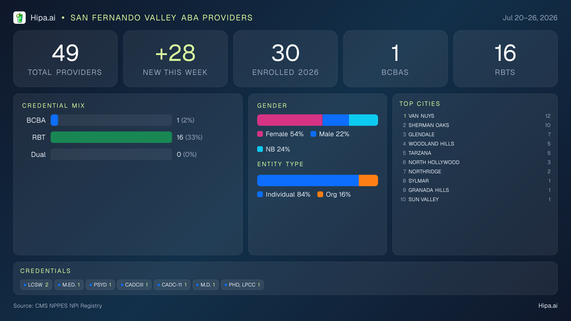 San Fernando Valley Behavioral Health Workforce - 2026-W30 | 49 Providers — infographic showing key NPI registry statistics for behavioral health providers
