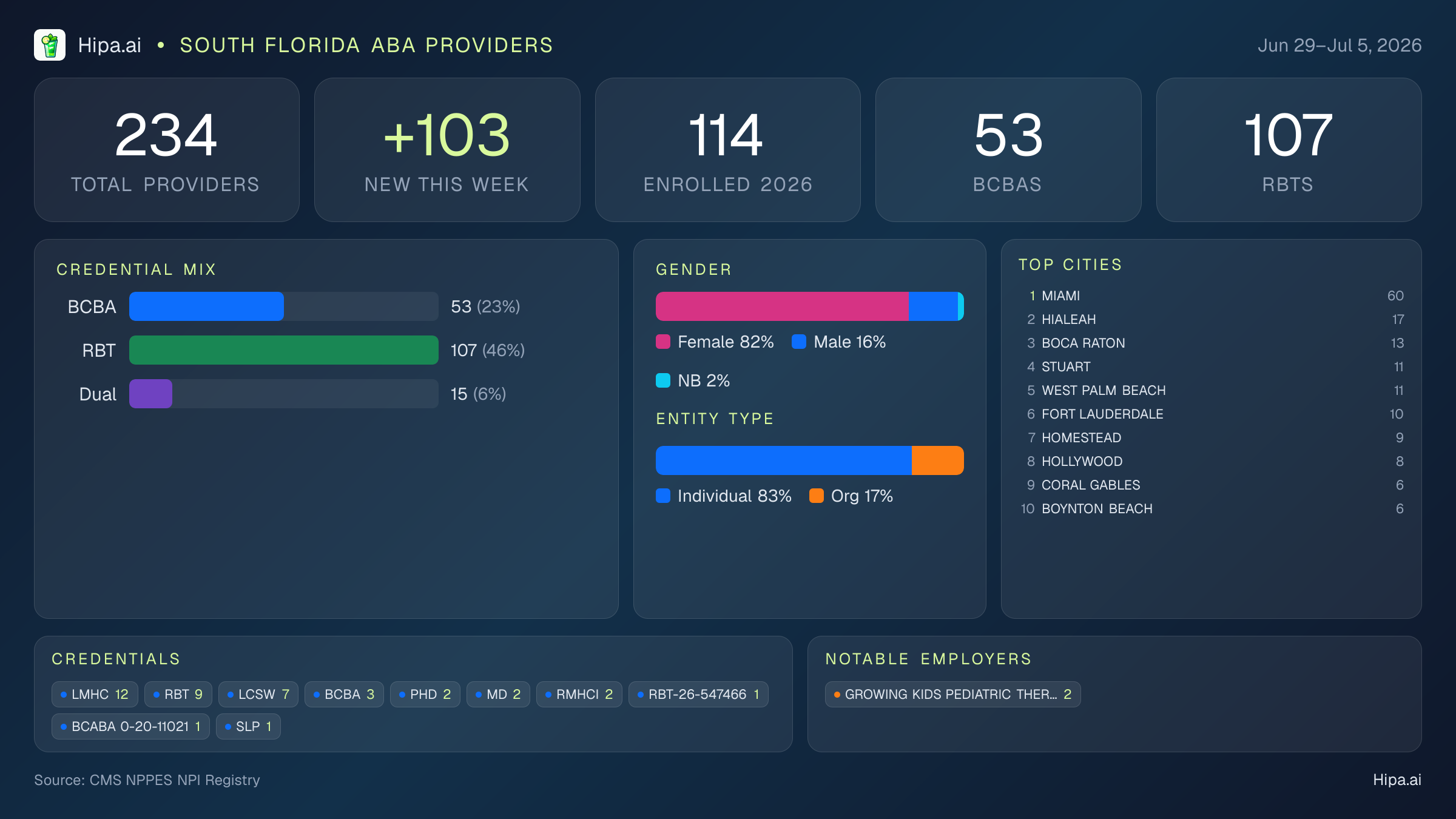 South Florida Behavioral Health Workforce - 2026-W27 | 234 Providers — infographic showing key NPI registry statistics for behavioral health providers