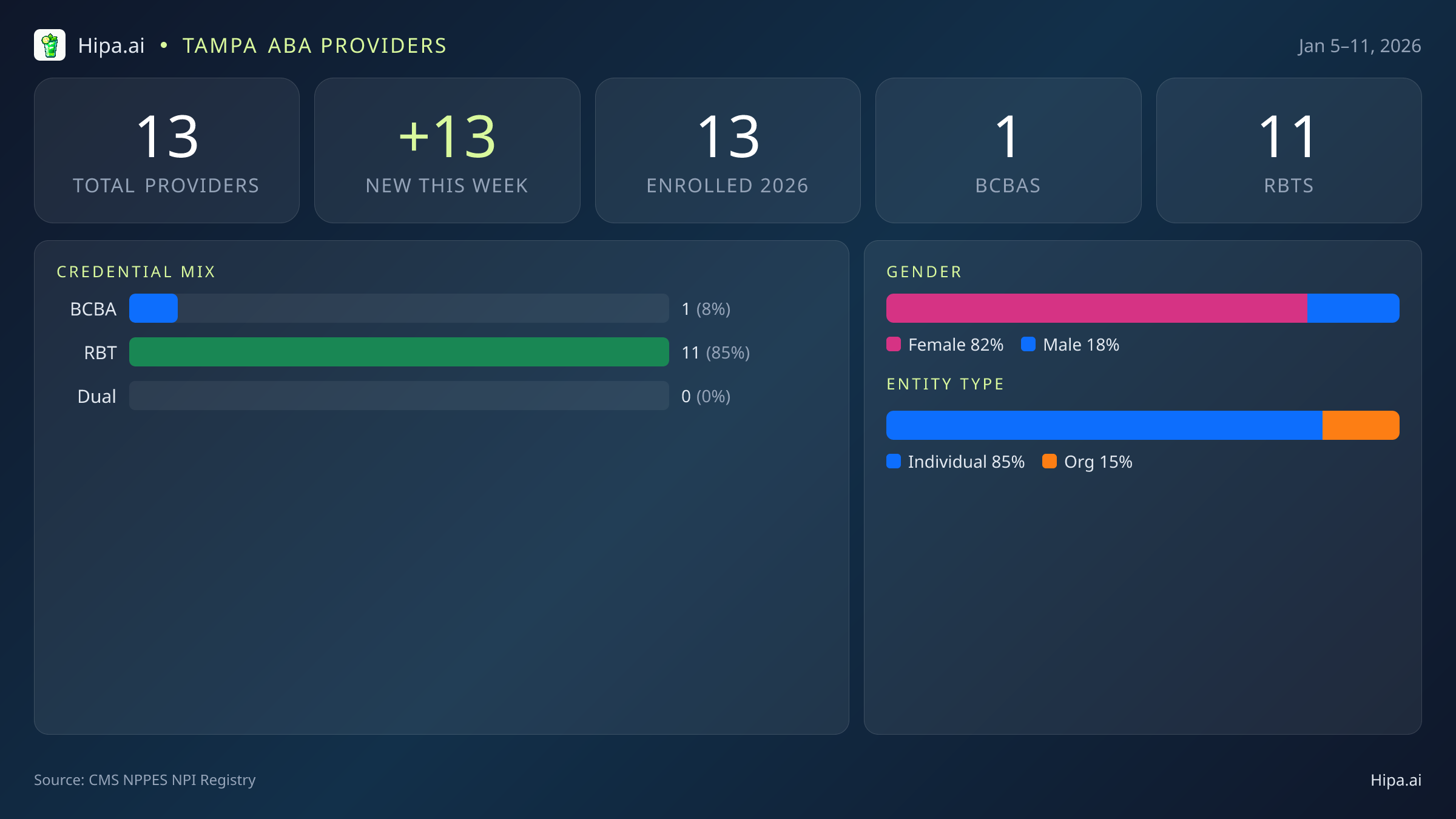Tampa, FL Behavioral Health Workforce - 2026-W02 | 13 Providers — infographic showing key NPI registry statistics for behavioral health providers