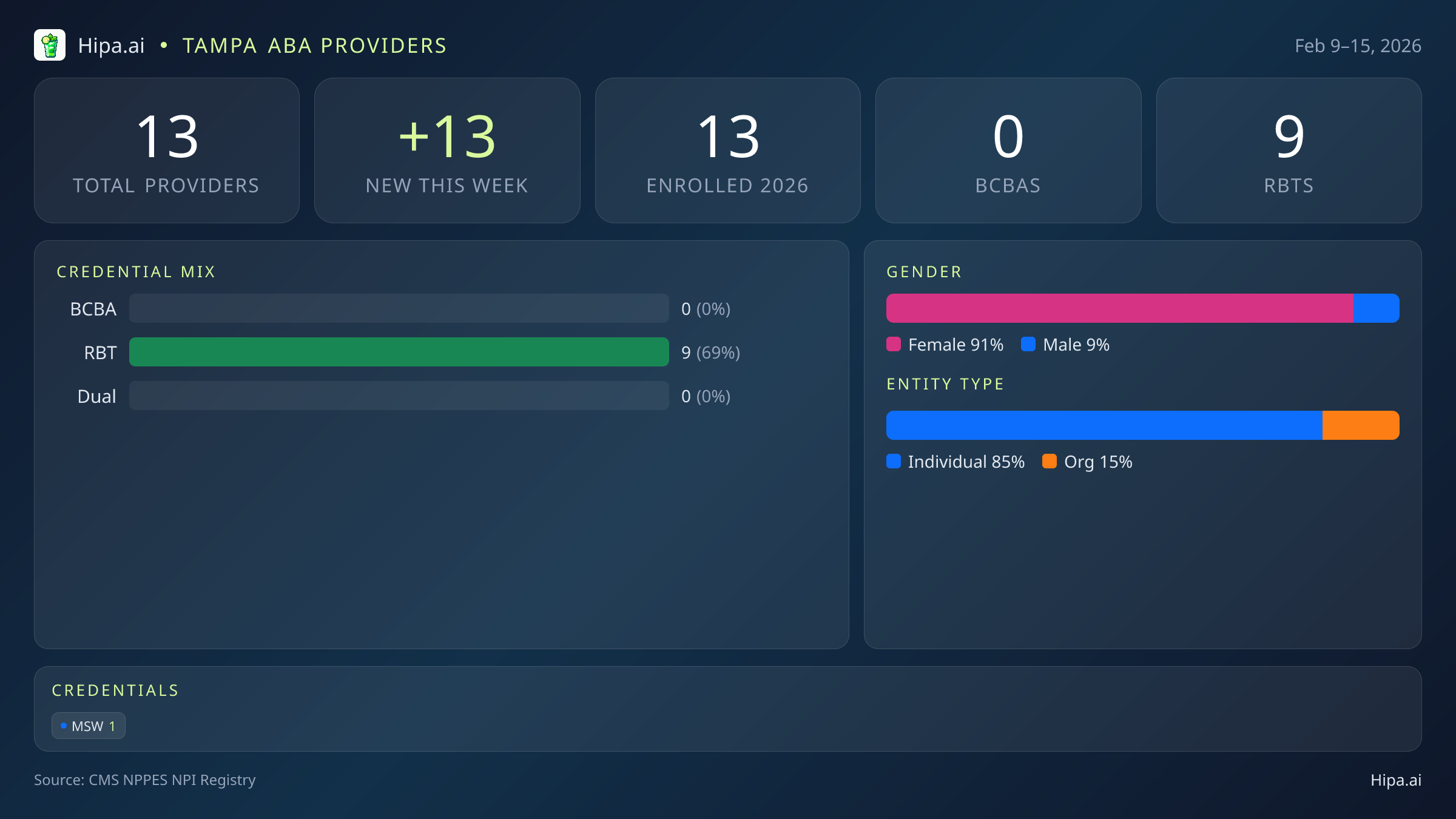Tampa, FL Behavioral Health Workforce - 2026-W07 | 13 Providers — infographic showing key NPI registry statistics for behavioral health providers