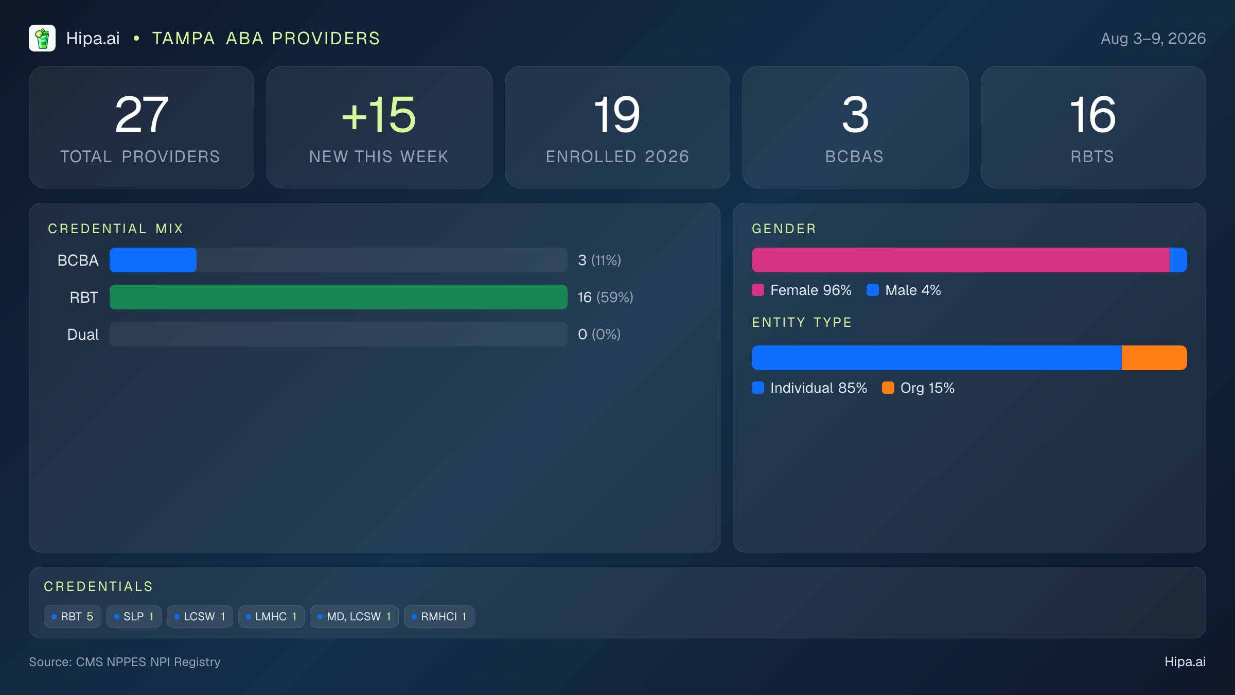 Tampa, FL Behavioral Health Workforce - 2026-W32 | 27 Providers — infographic showing key NPI registry statistics for behavioral health providers